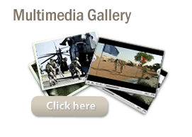 EDA Multimedia Gallery
